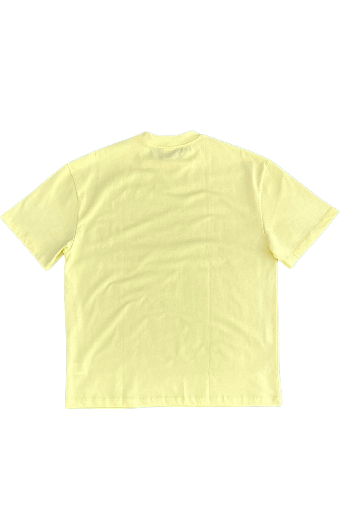 Oversized-Crew-Neck-T-shirt-Unisex-lime-back