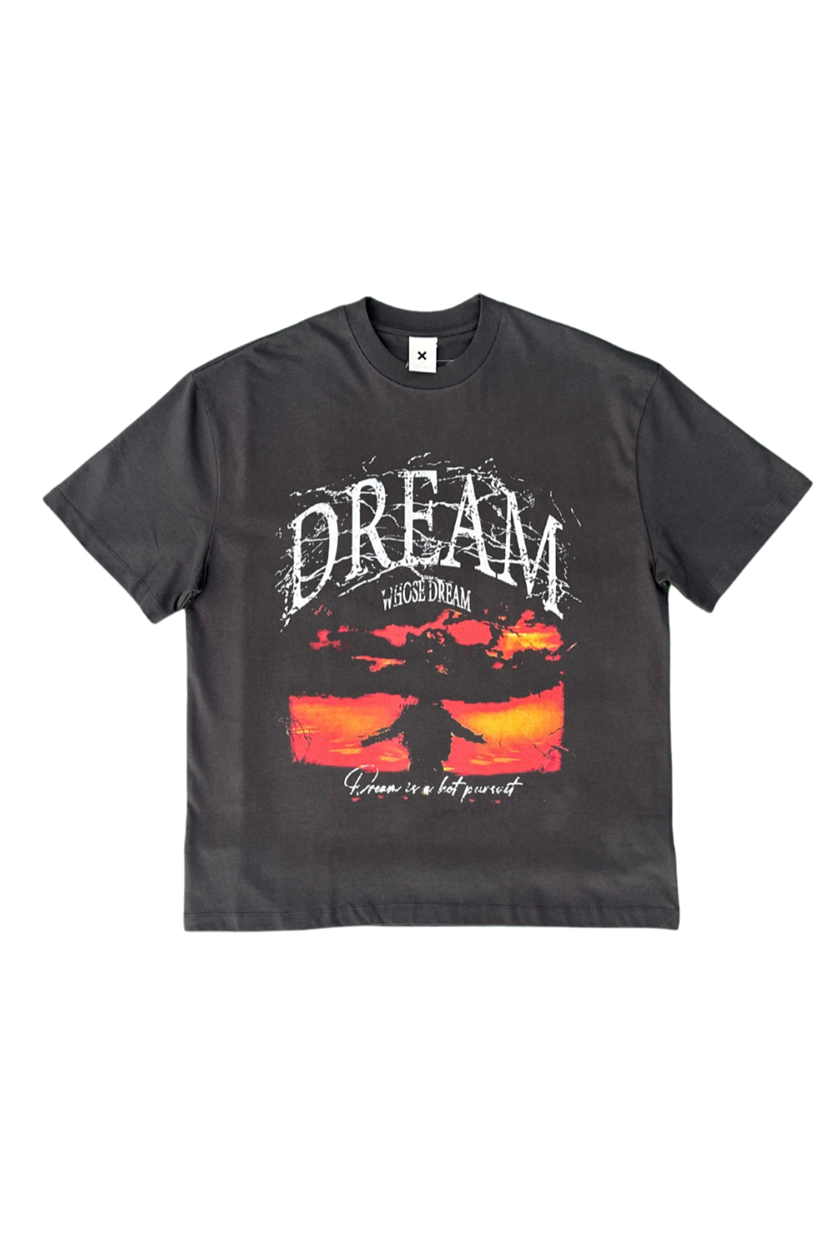 Vintage-Oversized-T-shirt-with-Dream-Print-grey-front
